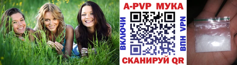 A-PVP СК  Ноябрьск 