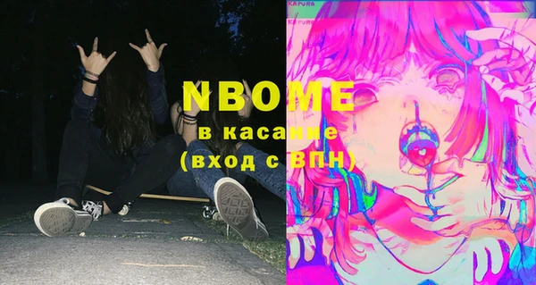 мдпв Арсеньев